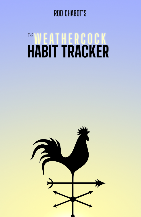 Journal d'habitudes  / Habit Tracker (24 mois)