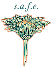 s.a.f.e logo.
