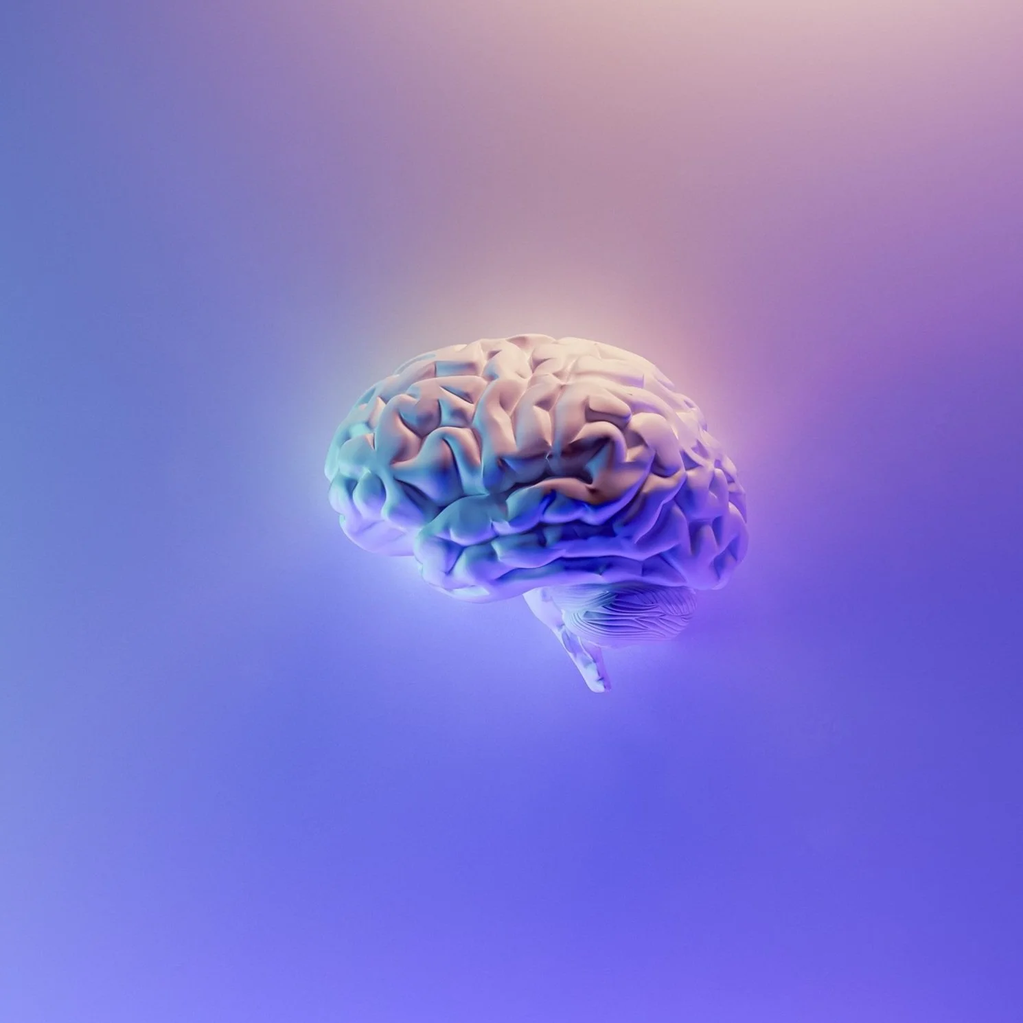 A detailed, stylized image of a human brain floating against a gradient background.