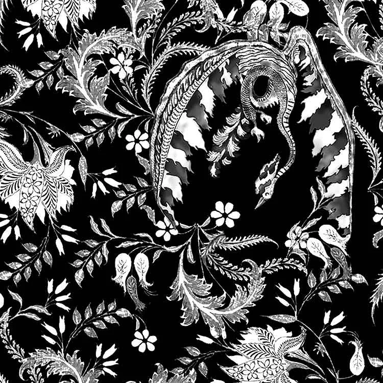 Fire Bird - Black