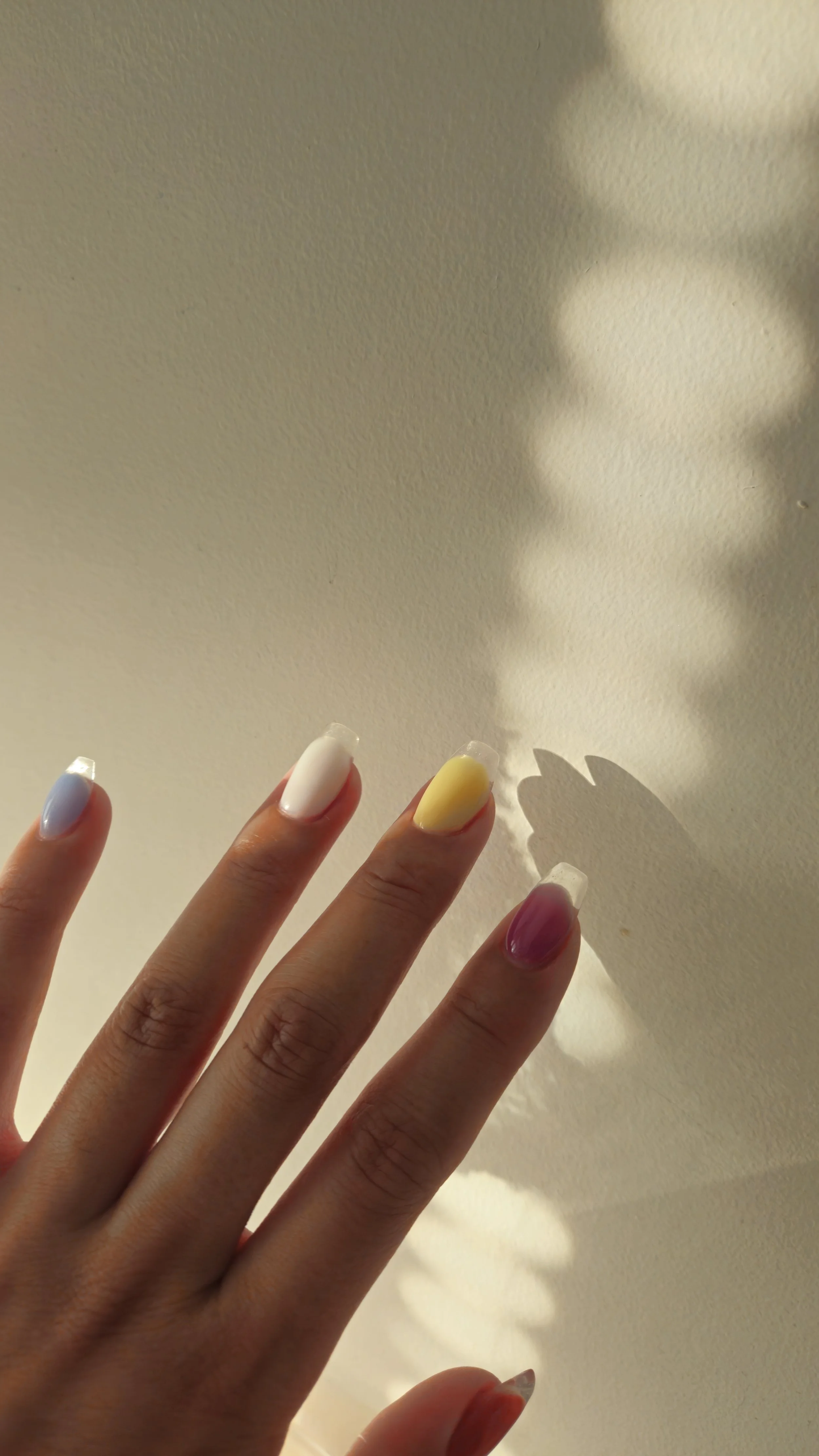 20250729_063027.jpg