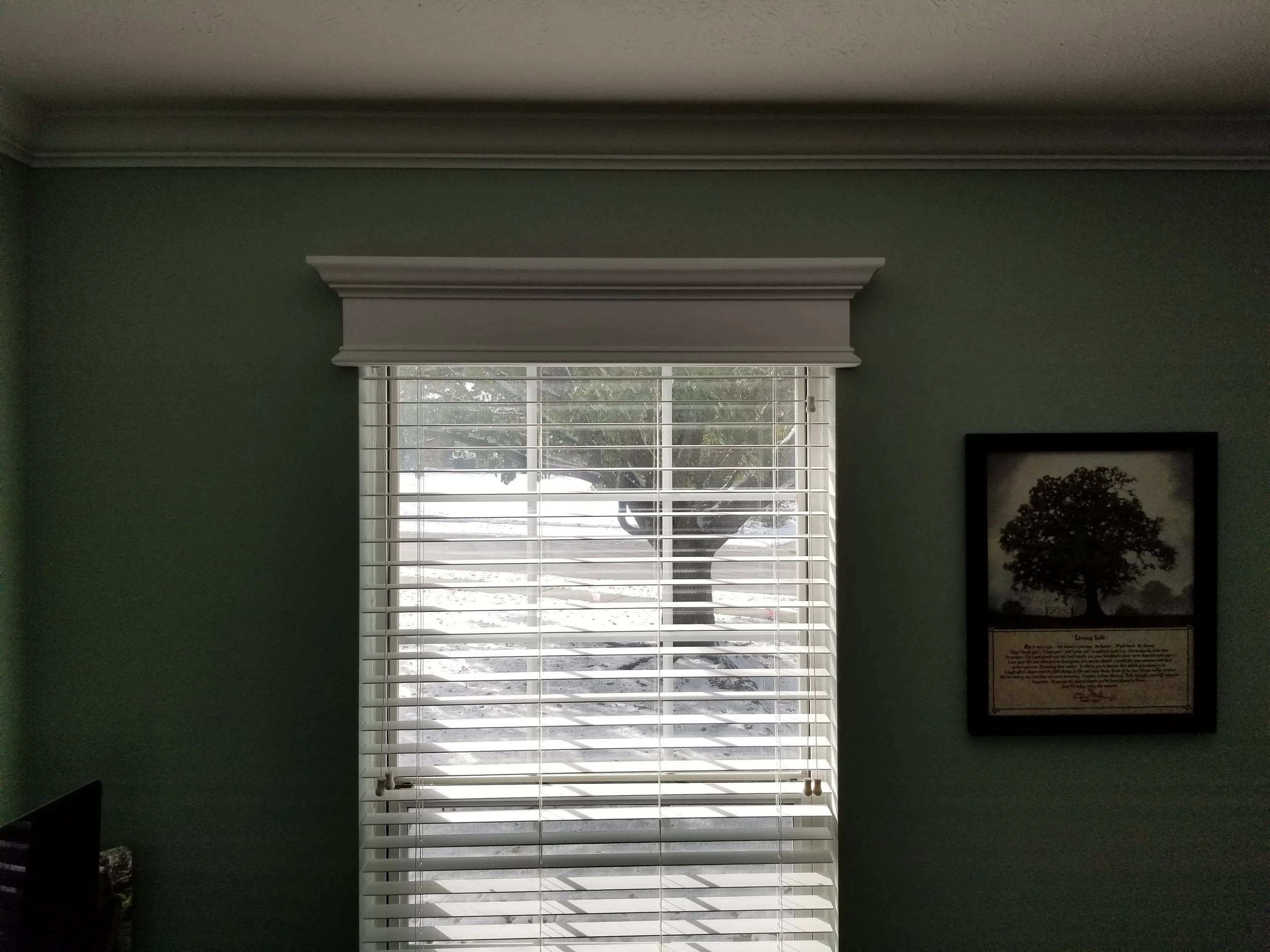 Outside view through a window with white blinds shows a snow-covered lawn and a tree with snow on its branches.