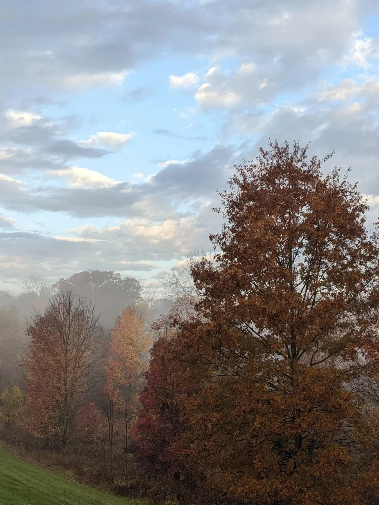 Autumn trees with orange and brown leaves along a hillside, with a misty background and a partly cloudy sky.