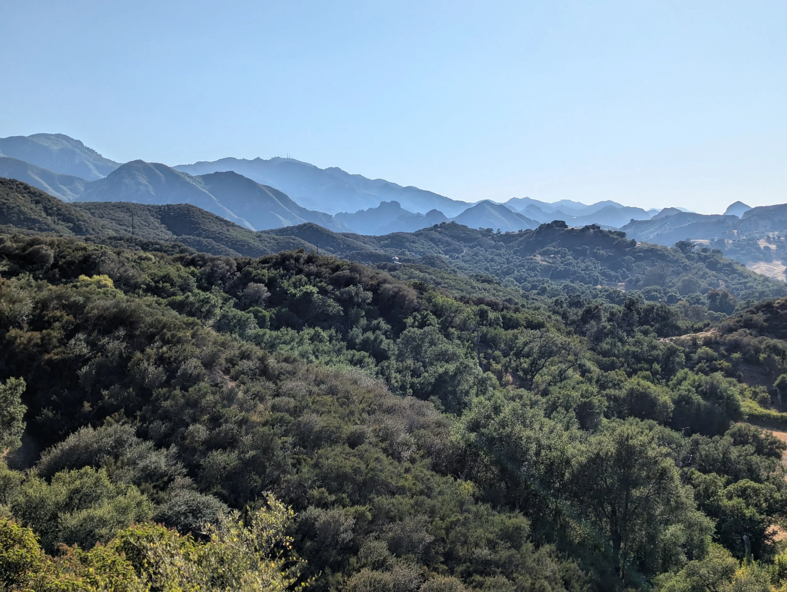 Scenic view of green, forested mountains under a clear blue sky.