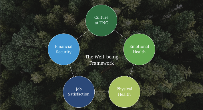 Diagram titled "The Well-being Framework" with five interconnected circles labeled Culture at TNC, Emotional Health, Physical Health, Job Satisfaction, and Financial Security, over a background of forested trees.