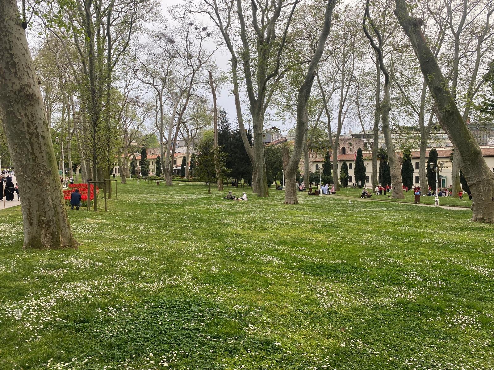 Tranquil garden in istanbul