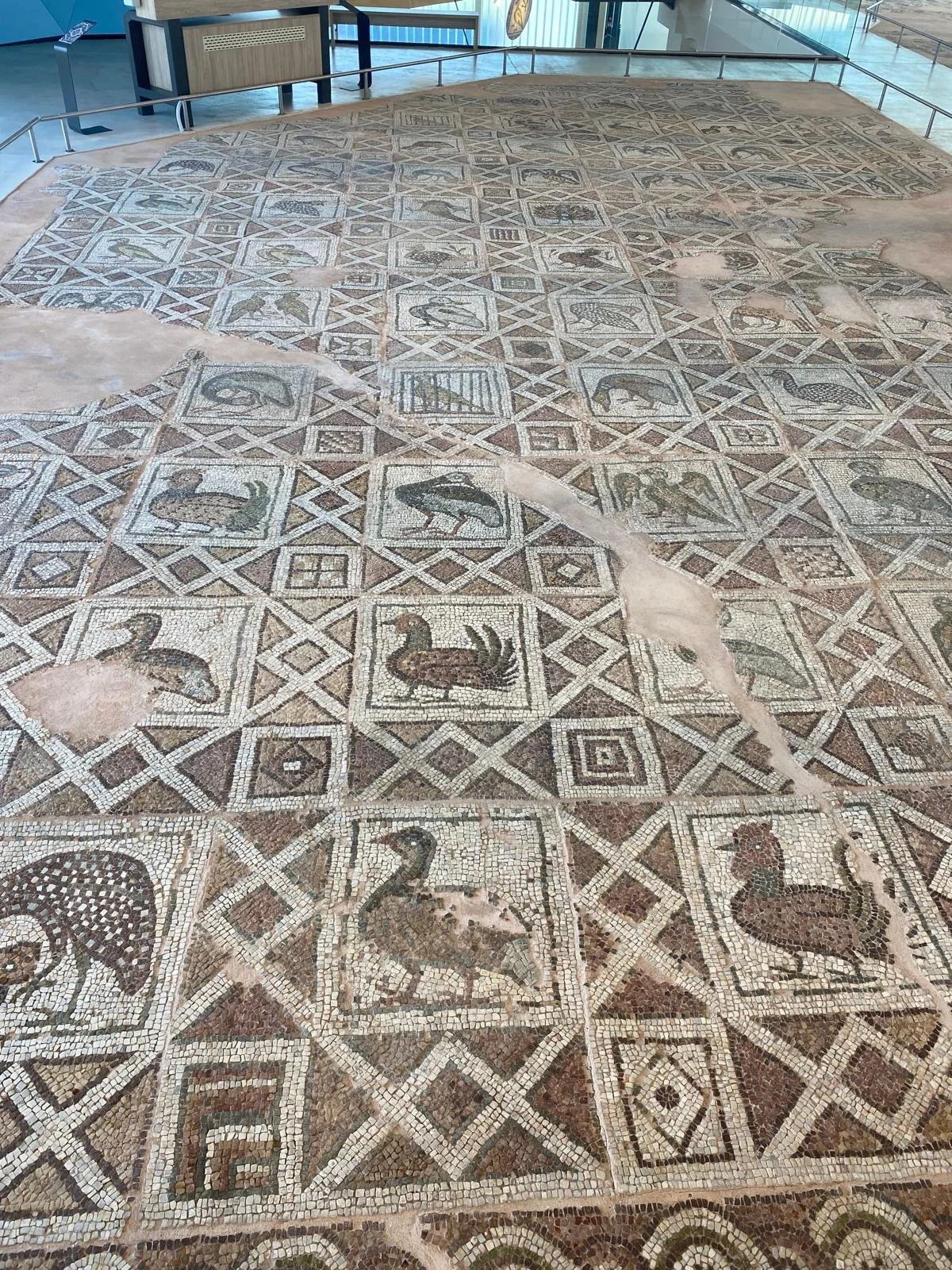 Mosaic depicting pheasants peacocks roosters and chickens from early Christianity.
