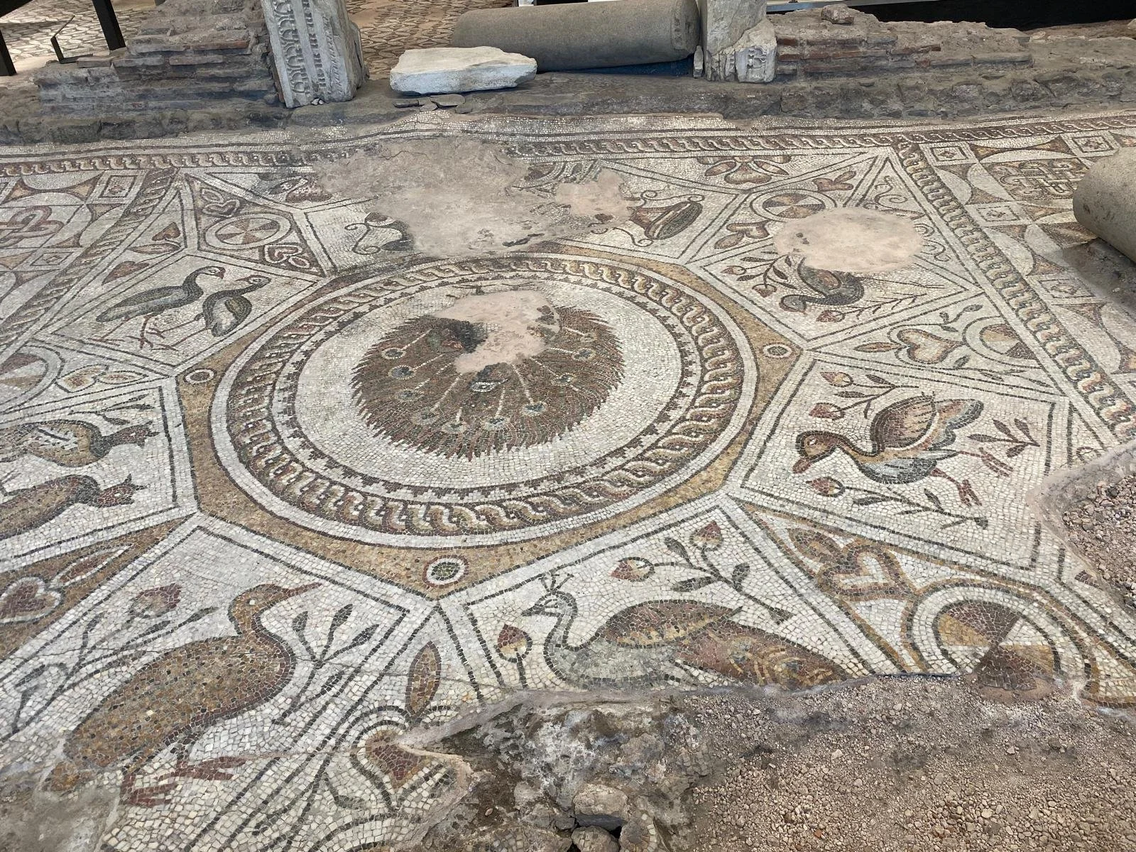 600 year old basilica mosaics discovered in Plovdiv just a few years go, europes oldest city.  Beneath this church lies layers of Greek and Byzantine churches.