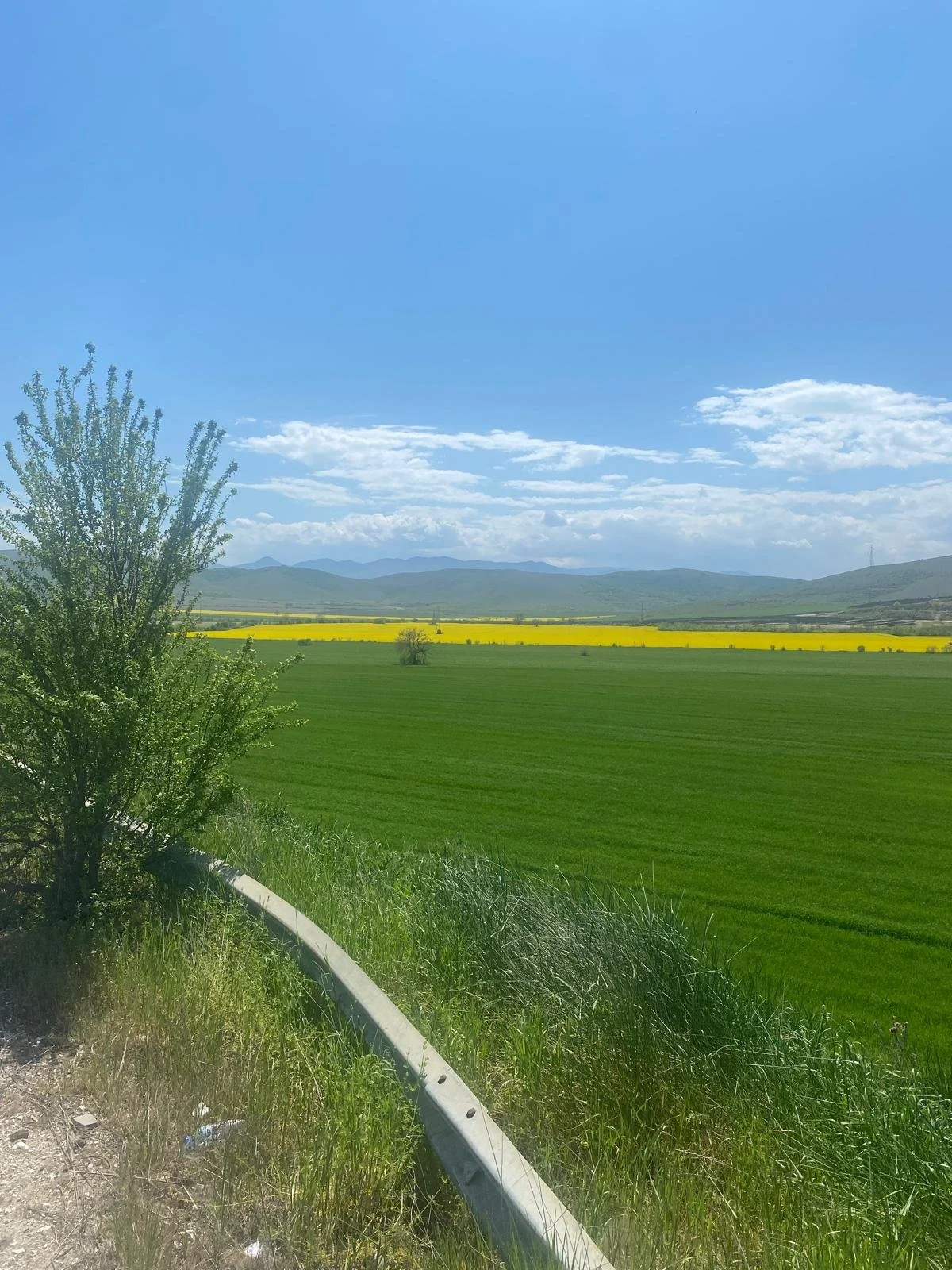 Agriculture scenery