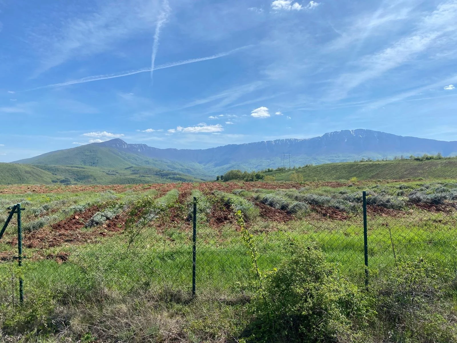 Mountains of Serbia near Bulgaria border