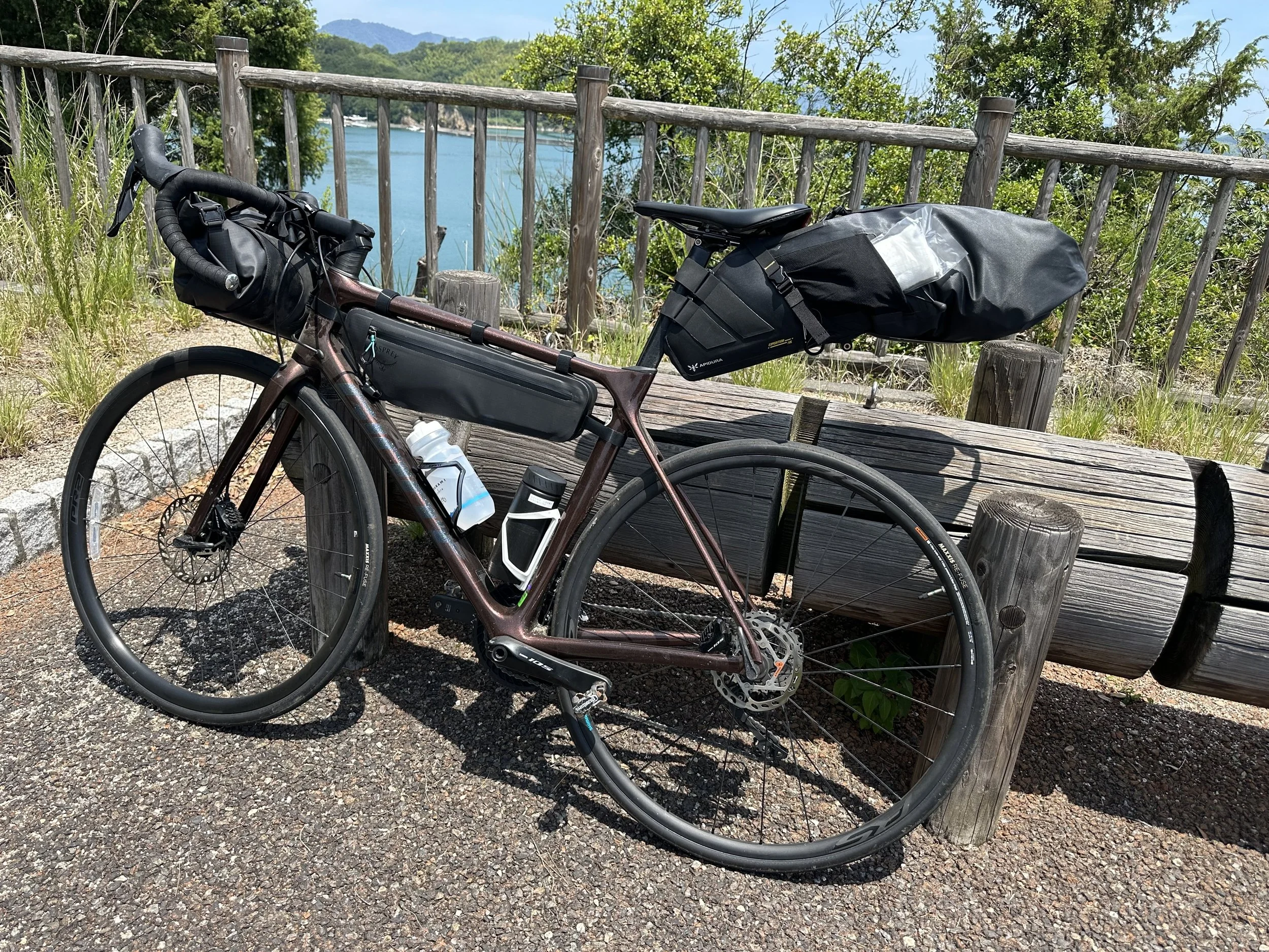 Rental GIANT bike - excellent, Bryan brought the bags to attach.