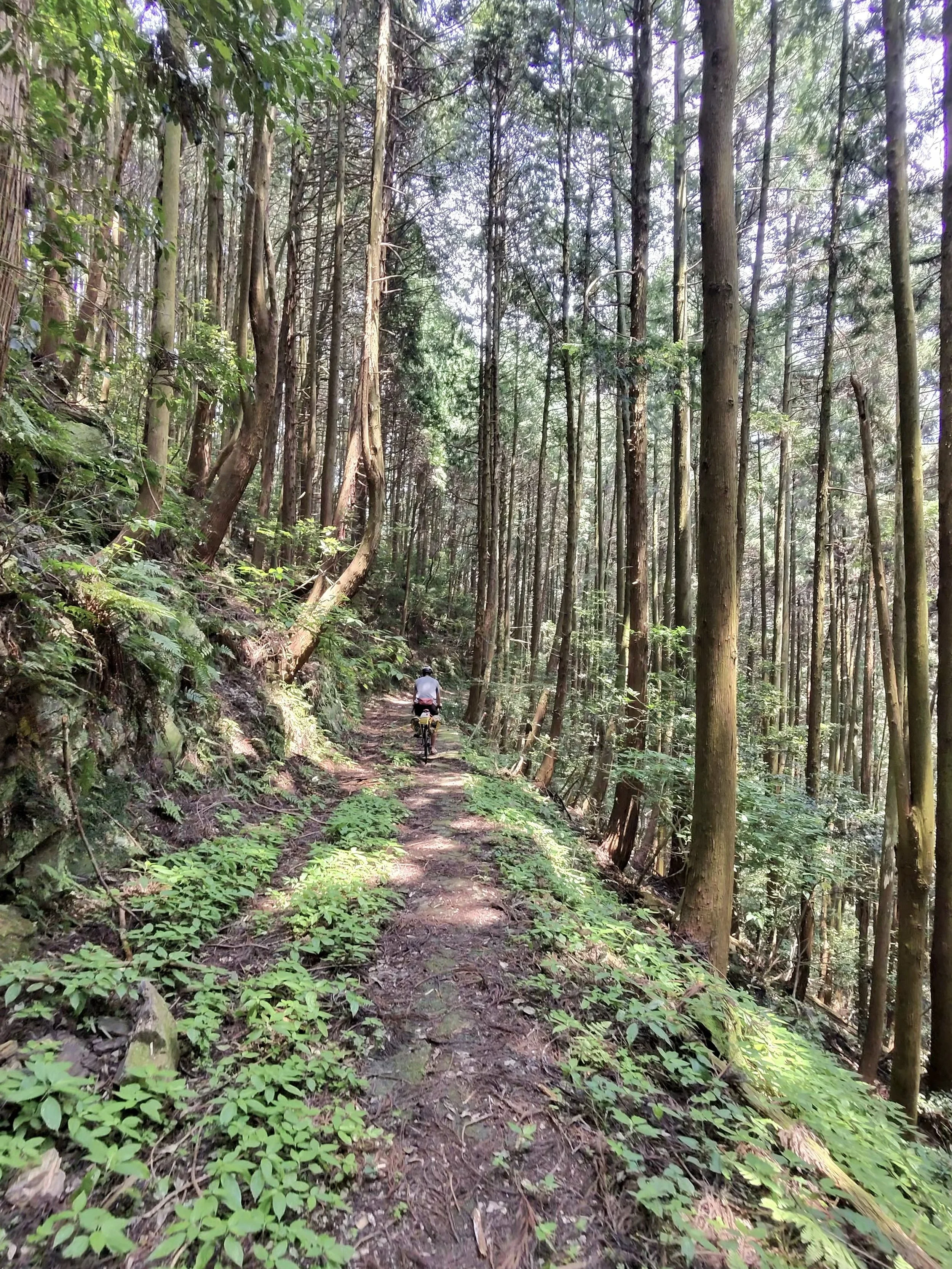 One bit of offroad riding - Japan 