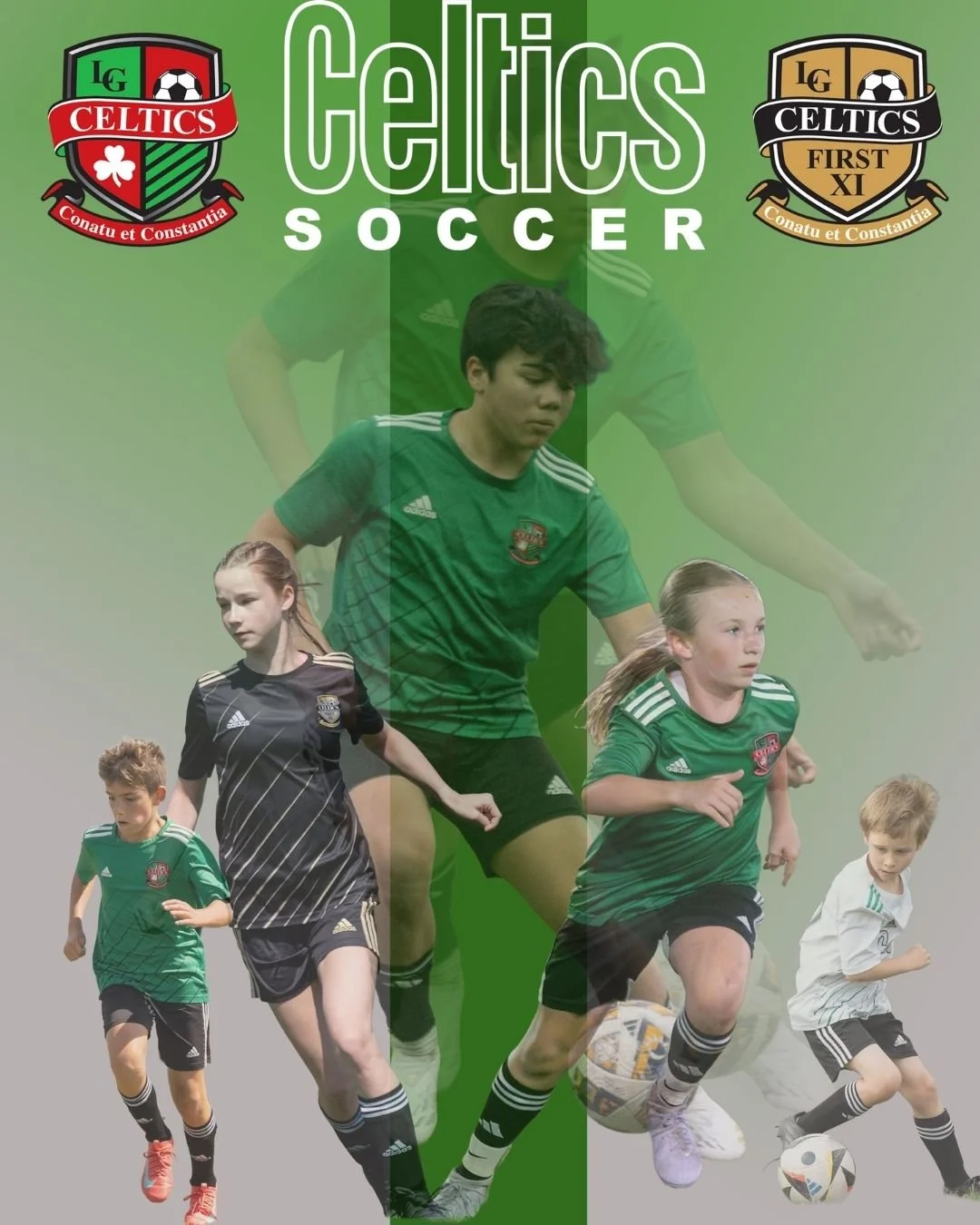 Marketing and Graphic Design