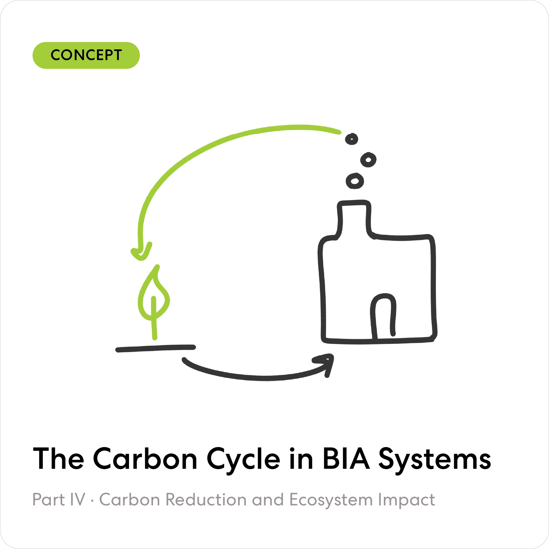 The Carbon Cycle in BIA Systems