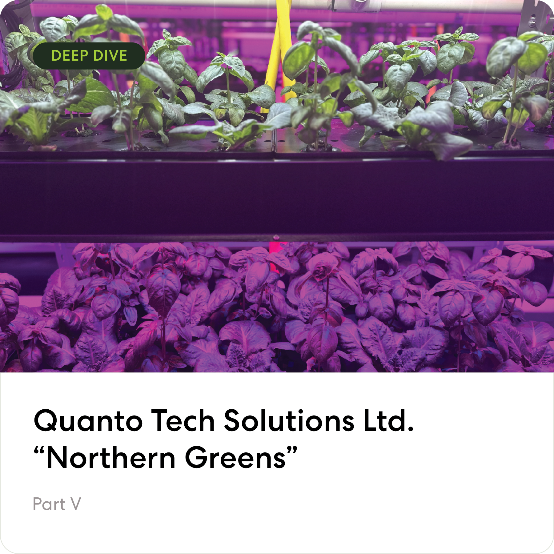Quanto Tech Solutions Ltd. — "Northern Greens"