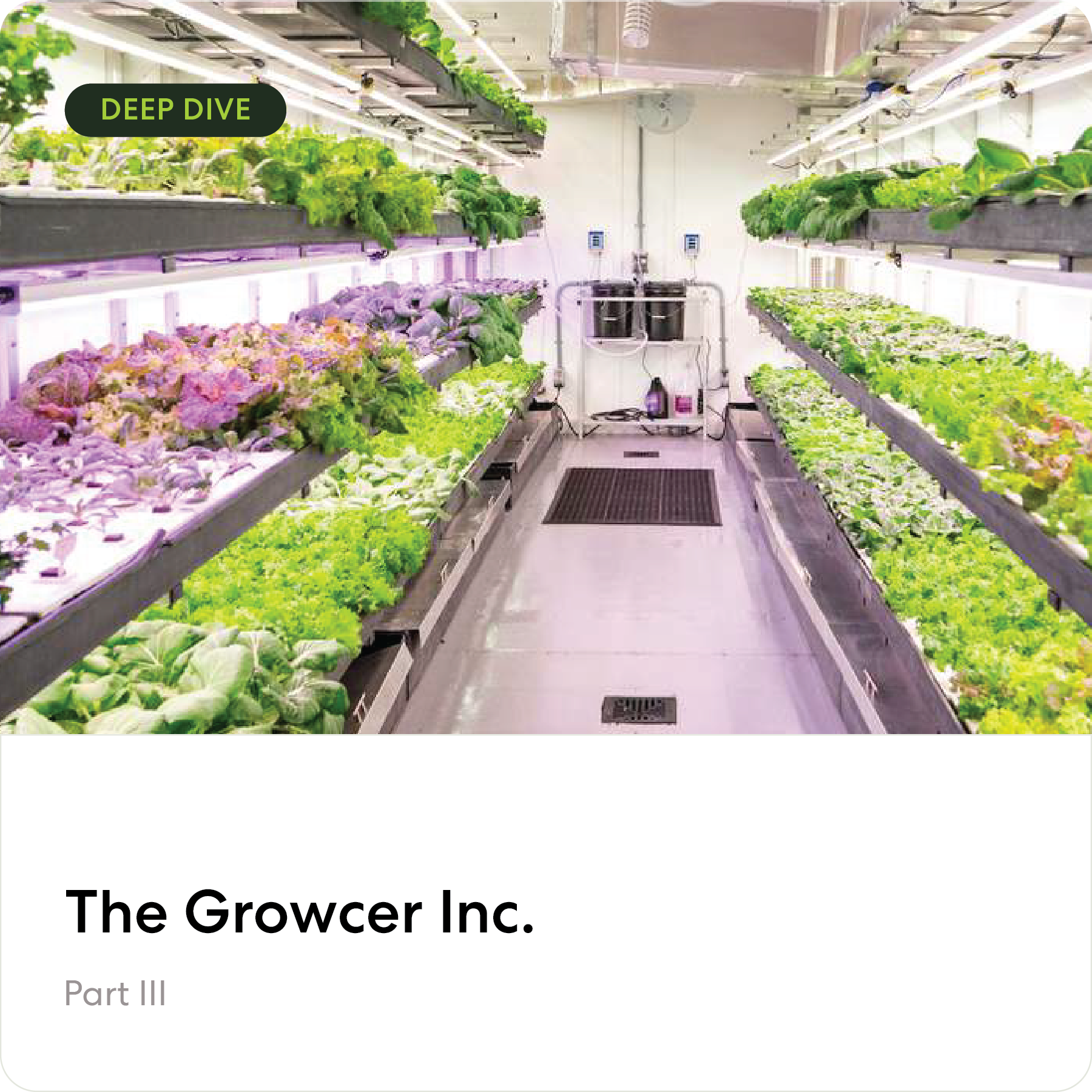 The Growcer Inc.