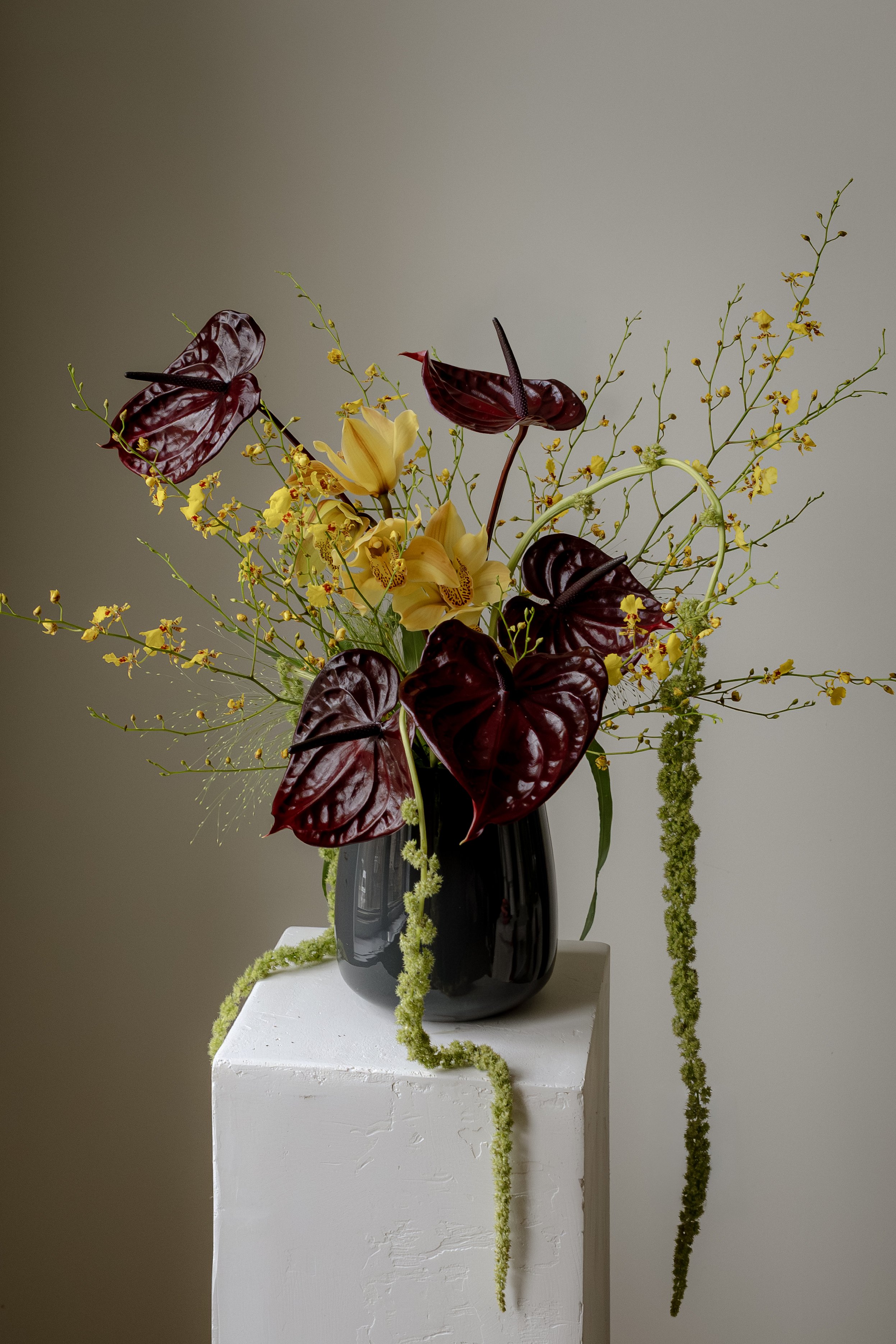 A floral arrangement with yellow orchids and dark red anthuriums in a black vase on a white pedestal against a plain background.
