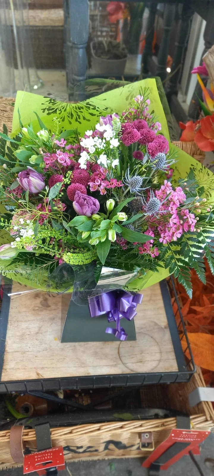 Vibrant Violets