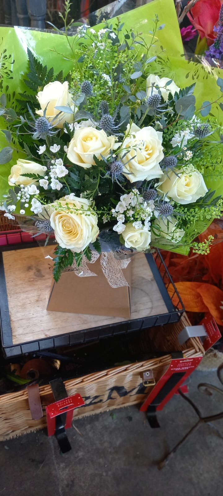 Citrus Blooms