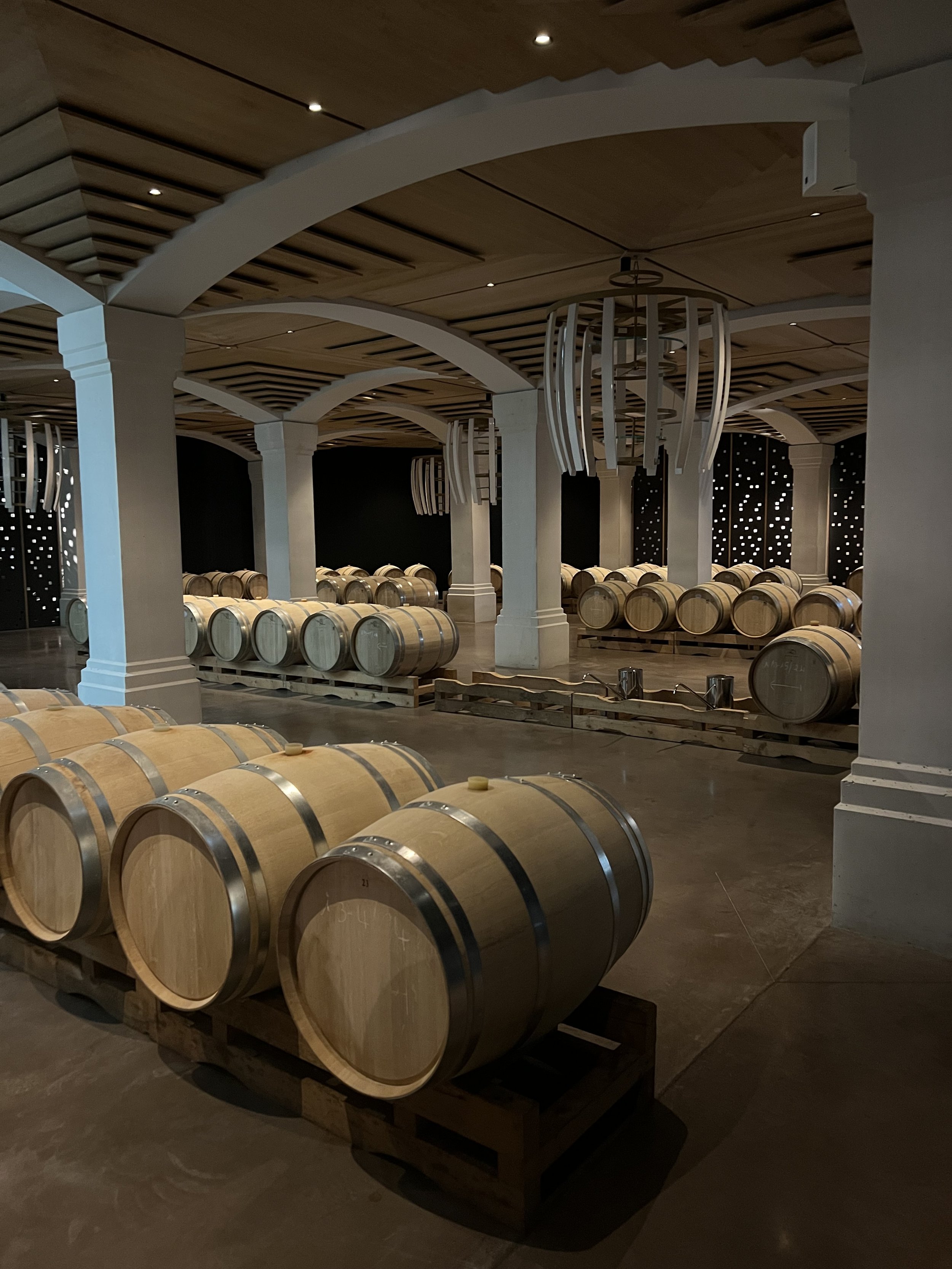 Rows of wine barrels stored in a wine cellar or storage room with a wooden ceiling and decorative lighting.
