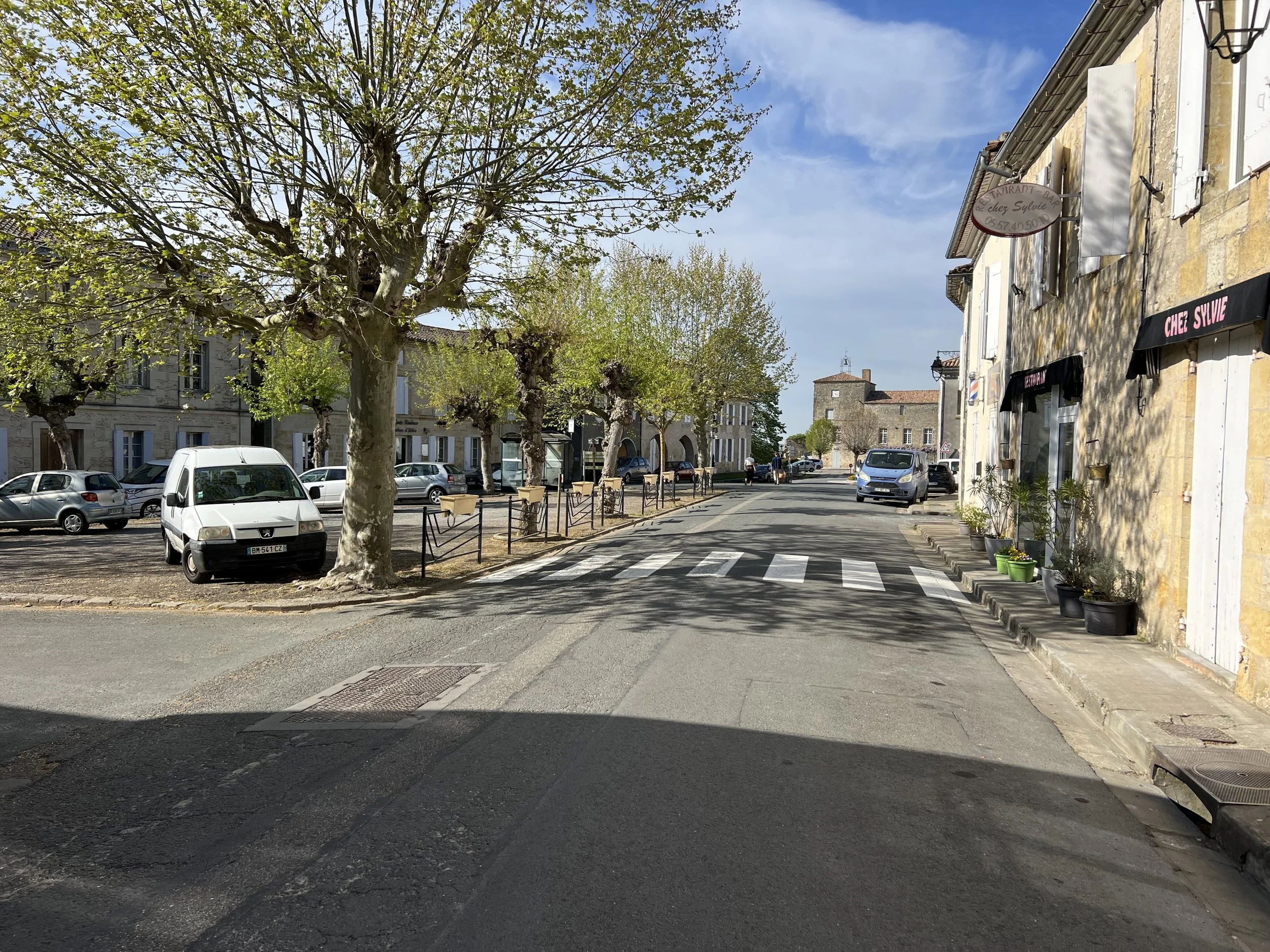 A quiet street corner in a small town with trees lining the sidewalk, cars parked along the street, and a building with potted plants outside, under a partly cloudy sky.