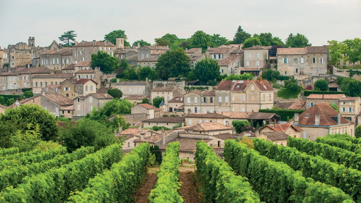 Vineyard with lush green rows of grapevines in the foreground and a hillside town with beige and gray stone buildings and red-tiled roofs in the background.