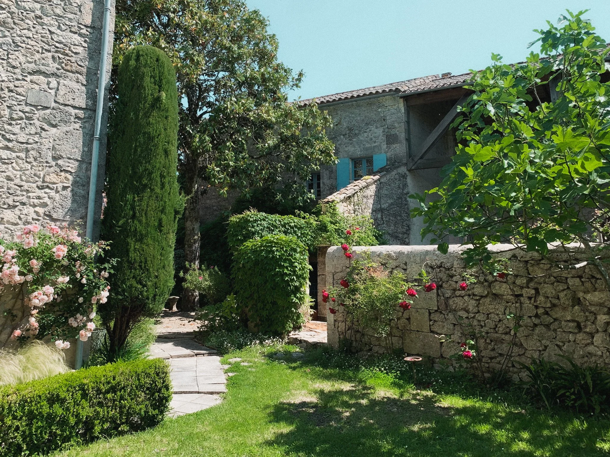 A lush garden with a stone pathway, blooming pink and red roses, green bushes, and trees, surrounded by old stone buildings with blue shutters and tiled roofs.