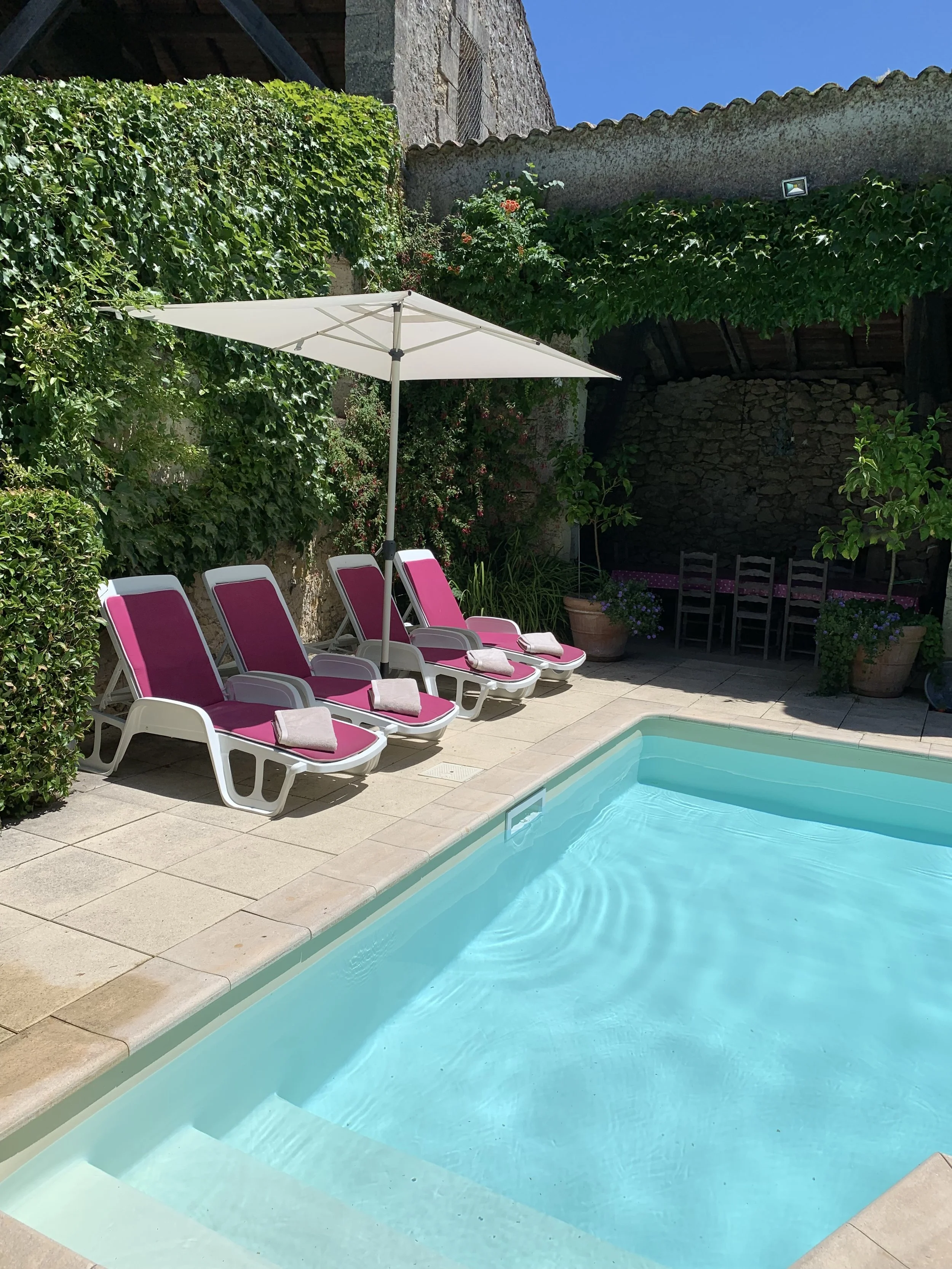 An outdoor pool area with four pink lounge chairs, a white umbrella, and a landscaped garden with potted plants and trees under a blue sky.