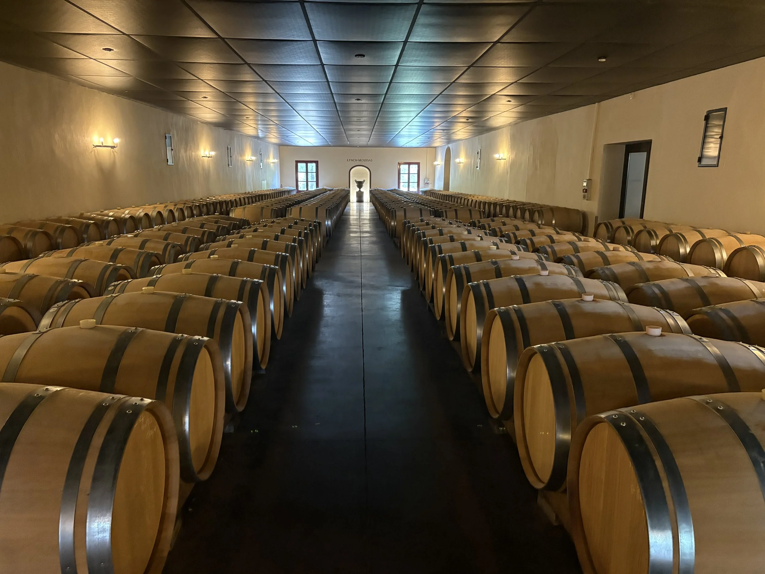 A large wine cellar with rows of wooden barrels, dim lighting, and a desk or counter at the far end.