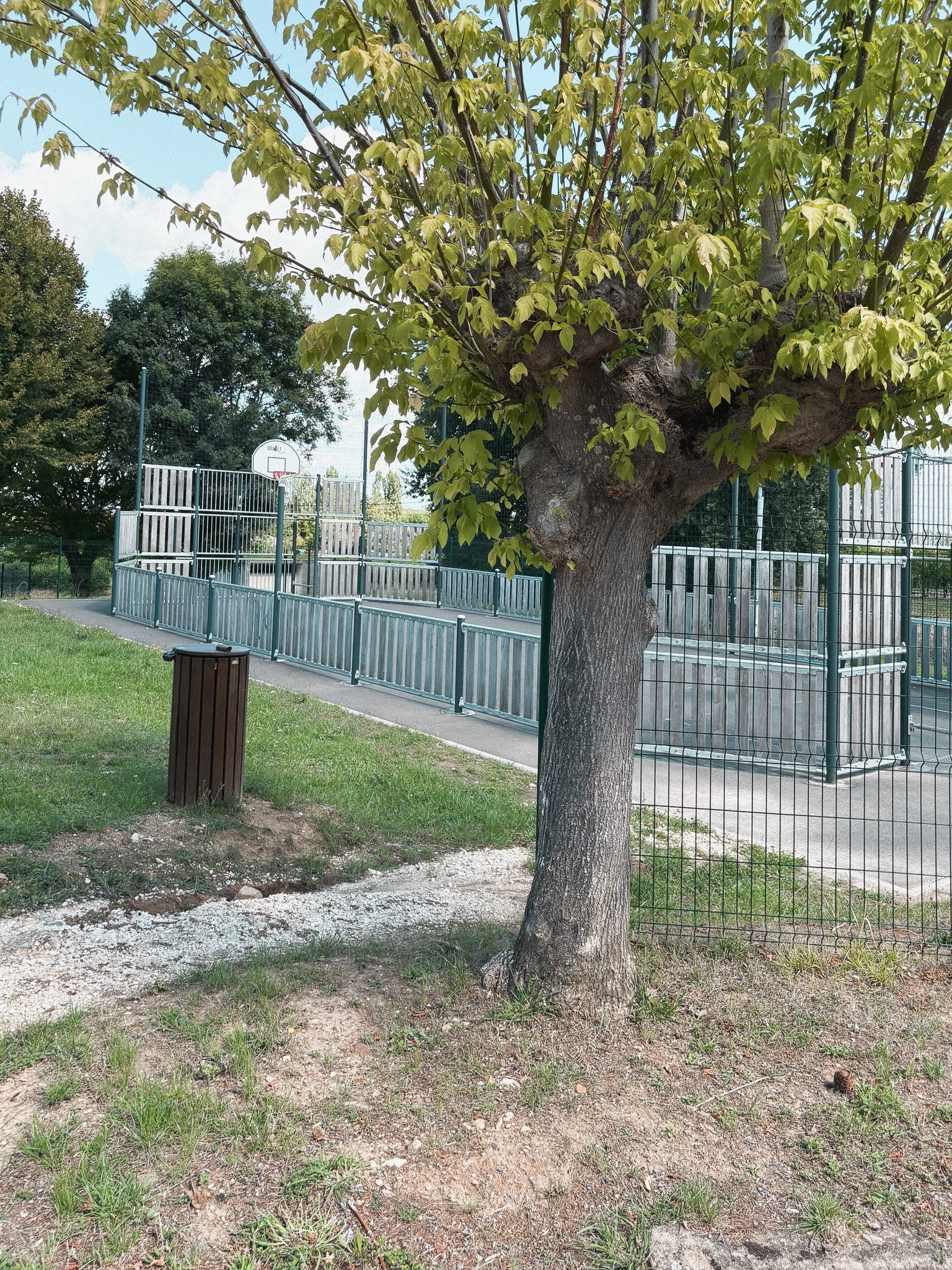 A park scene with a large tree in the foreground, a basketball court with a hoop in the background, surrounded by a metal fence, and a trash can near the tree.