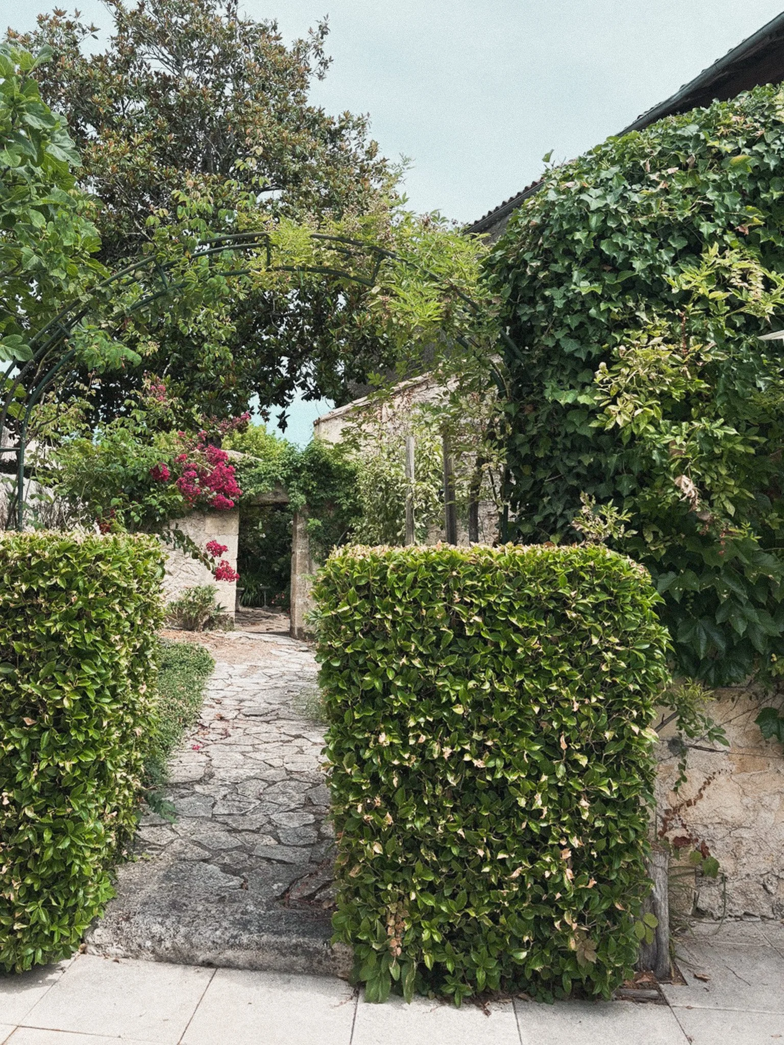 A garden with a stone path, green bushes on both sides, and a wrought iron archway covered with green foliage, leading to a gate surrounded by pink flowering bushes.