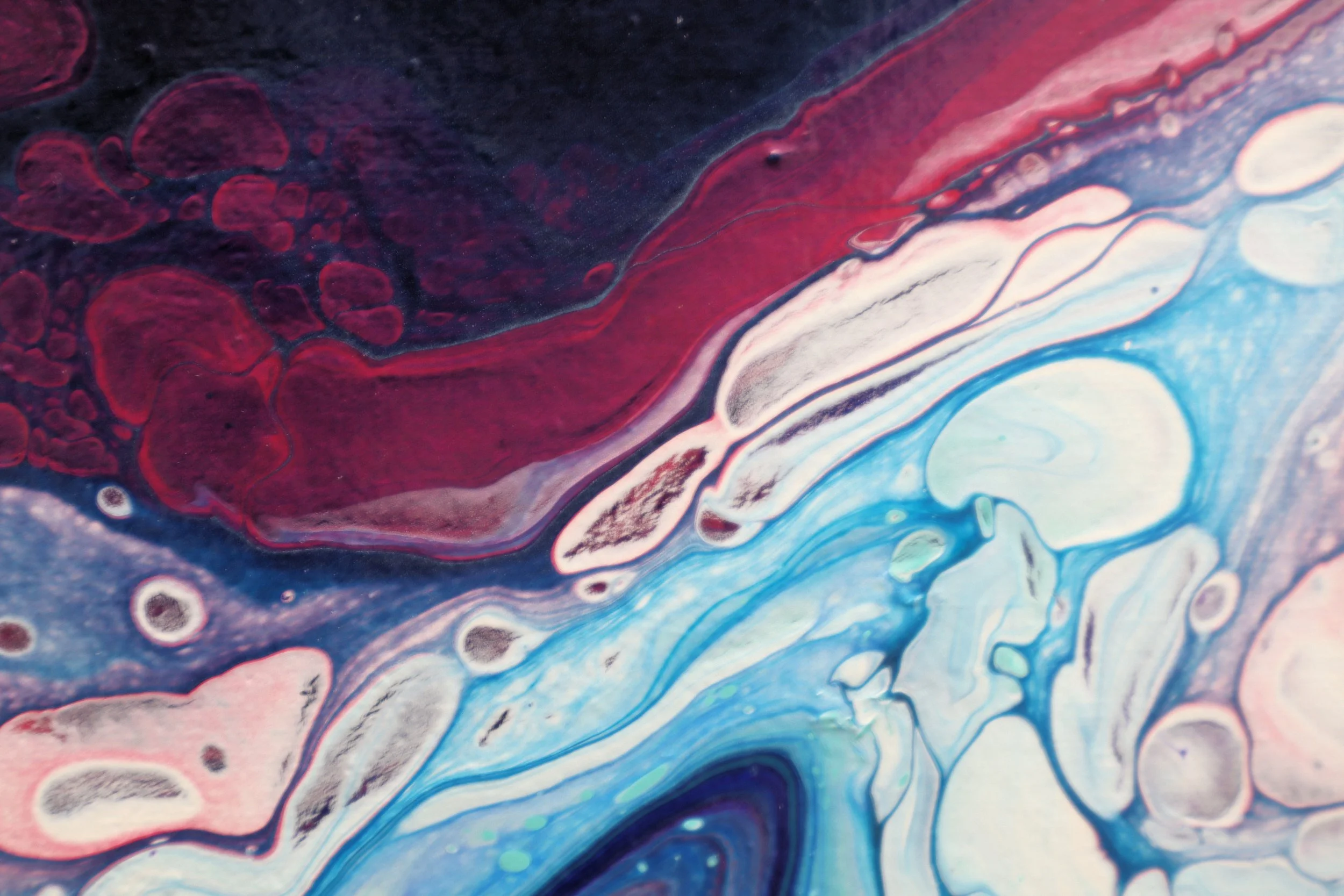 Mother-of-Pearl - Close.JPG