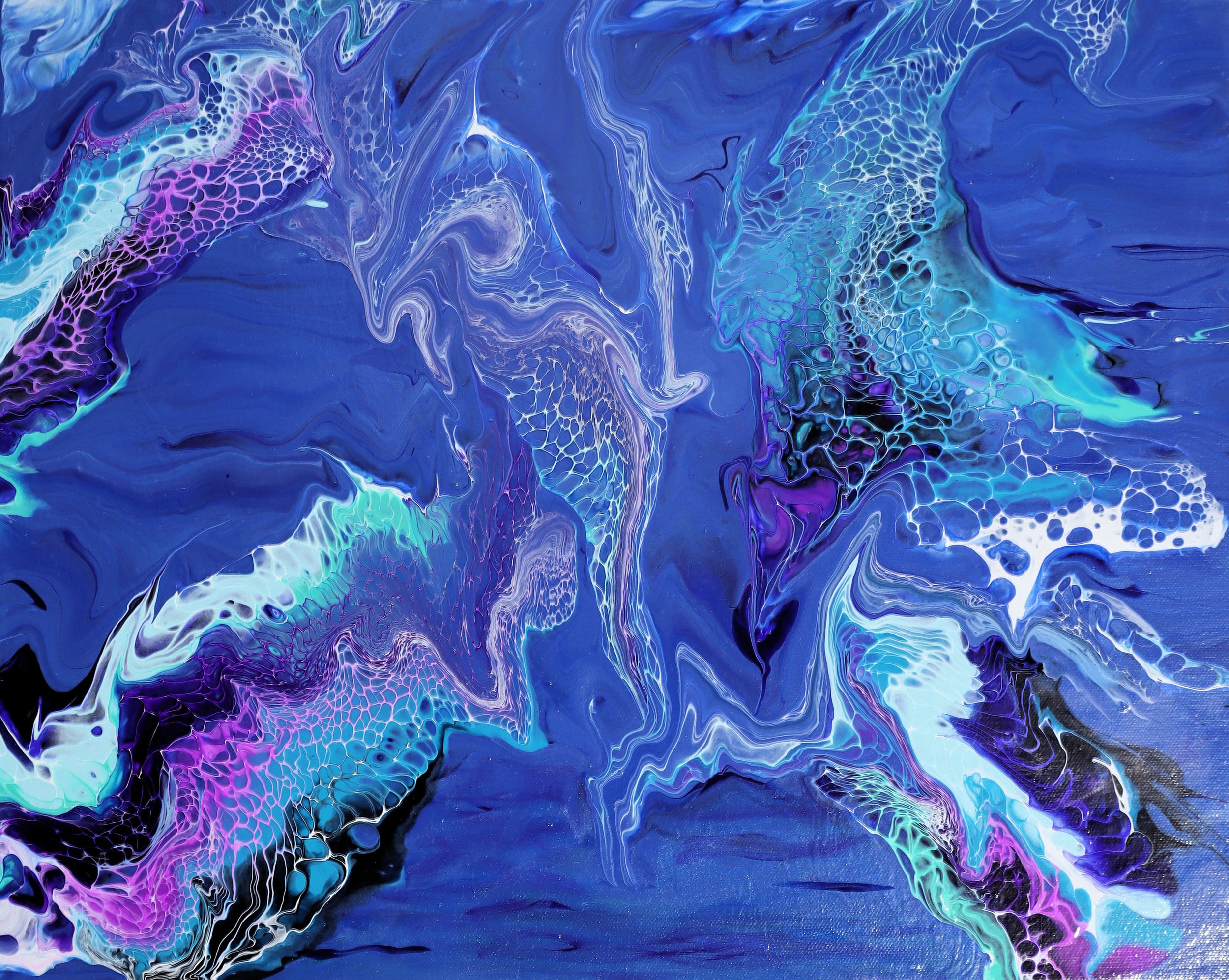 Illusive - Front H.jpg