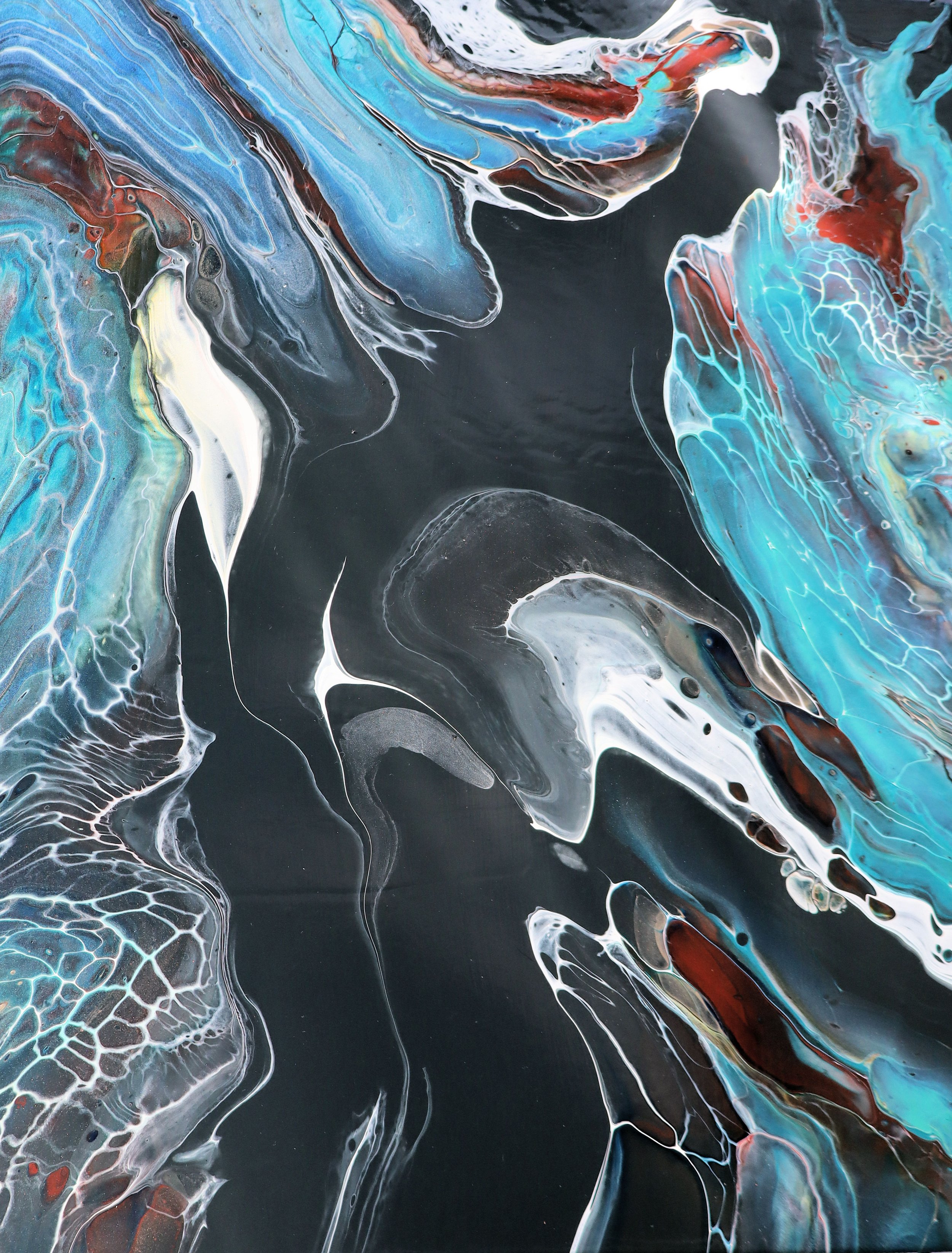 Forcefield - Front V.jpg