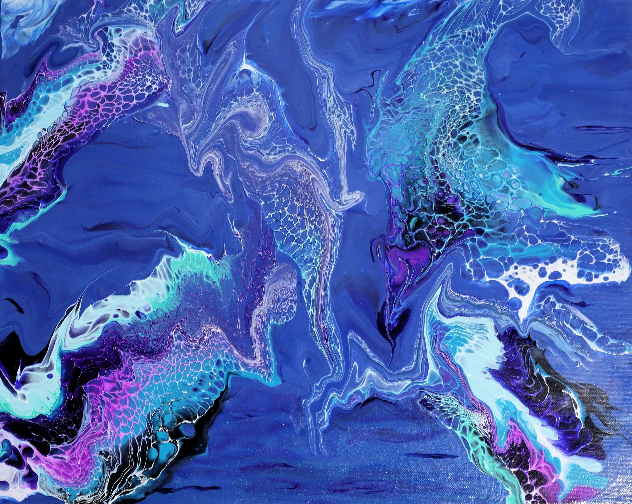 Illusive - Front H.jpg