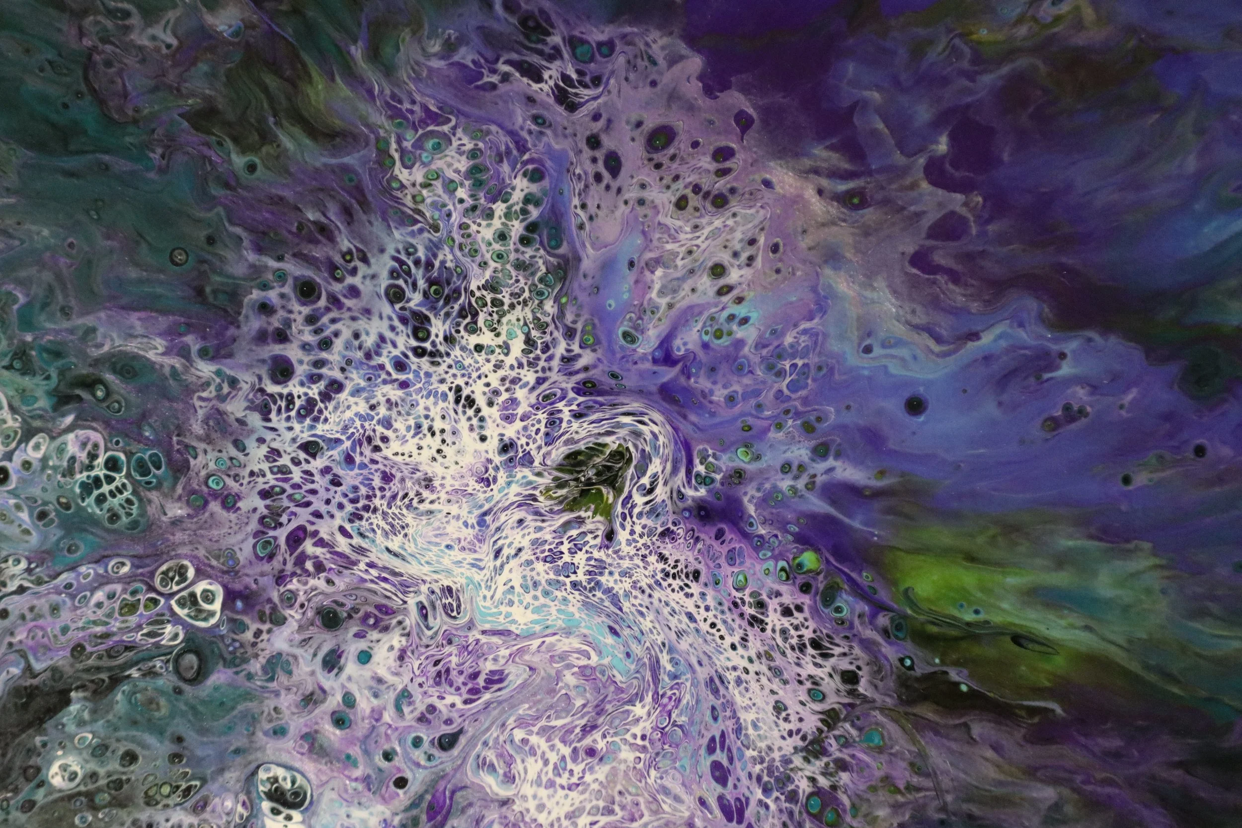 Lavender Explosion - Close.JPG