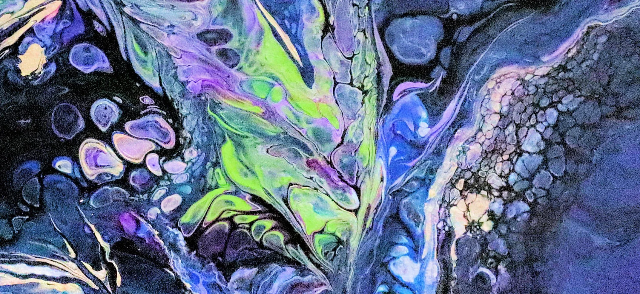 Broken Wing - Close 2.jpg