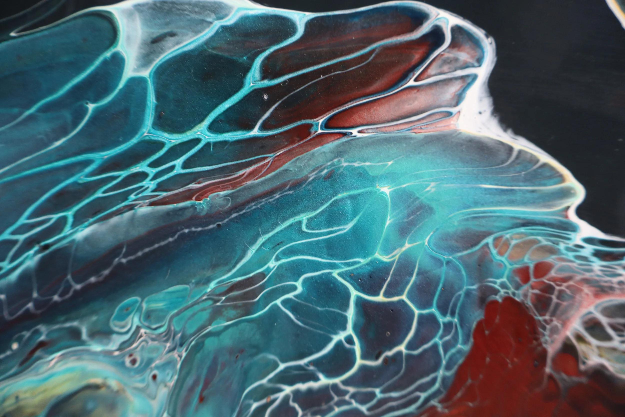 Forcefield - Close.JPG