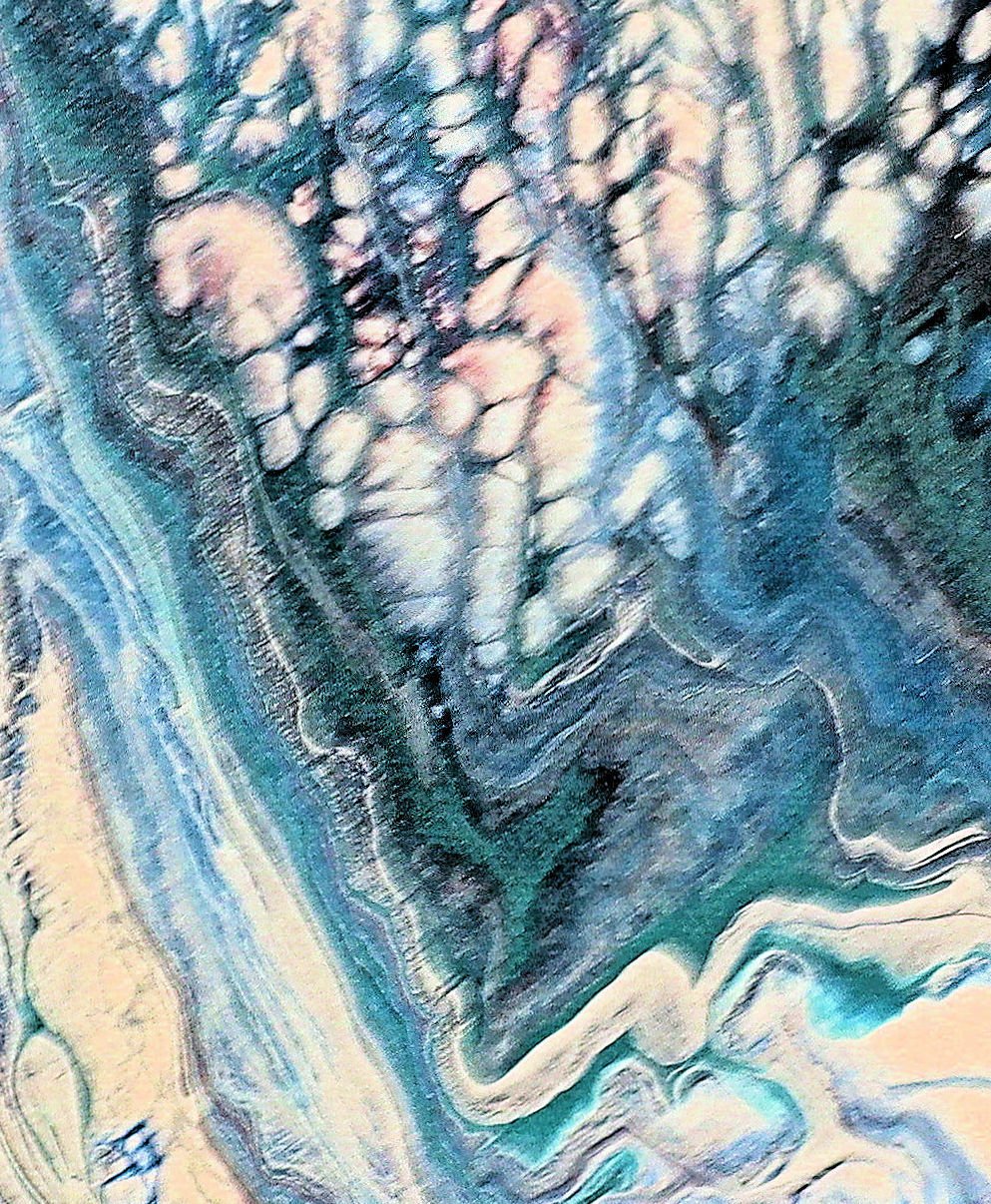 Aerial view of a forested area with trees, water bodies, and land formations, exhibiting various shades of blue, green, and beige.