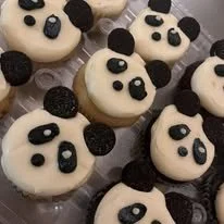 panda disco cupcakes.jpg