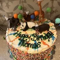 party animal bday cake.jpg