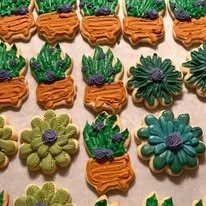 asst succulent cutouts.jpg