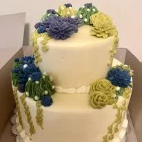 succulent tier cake.jpg