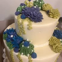 succulent tier cake2.jpg