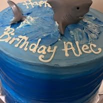 shark out of water cake.jpg
