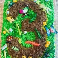 3 dirt and bugs sheet cake.jpg