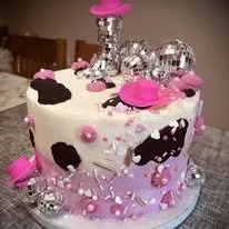 pink disco cowgirl cake.jpg