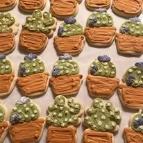 succulent cutouts.jpg