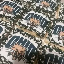 ohio ei cutouts.jpg