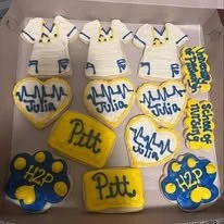 pitt nursing cutout asst.jpg